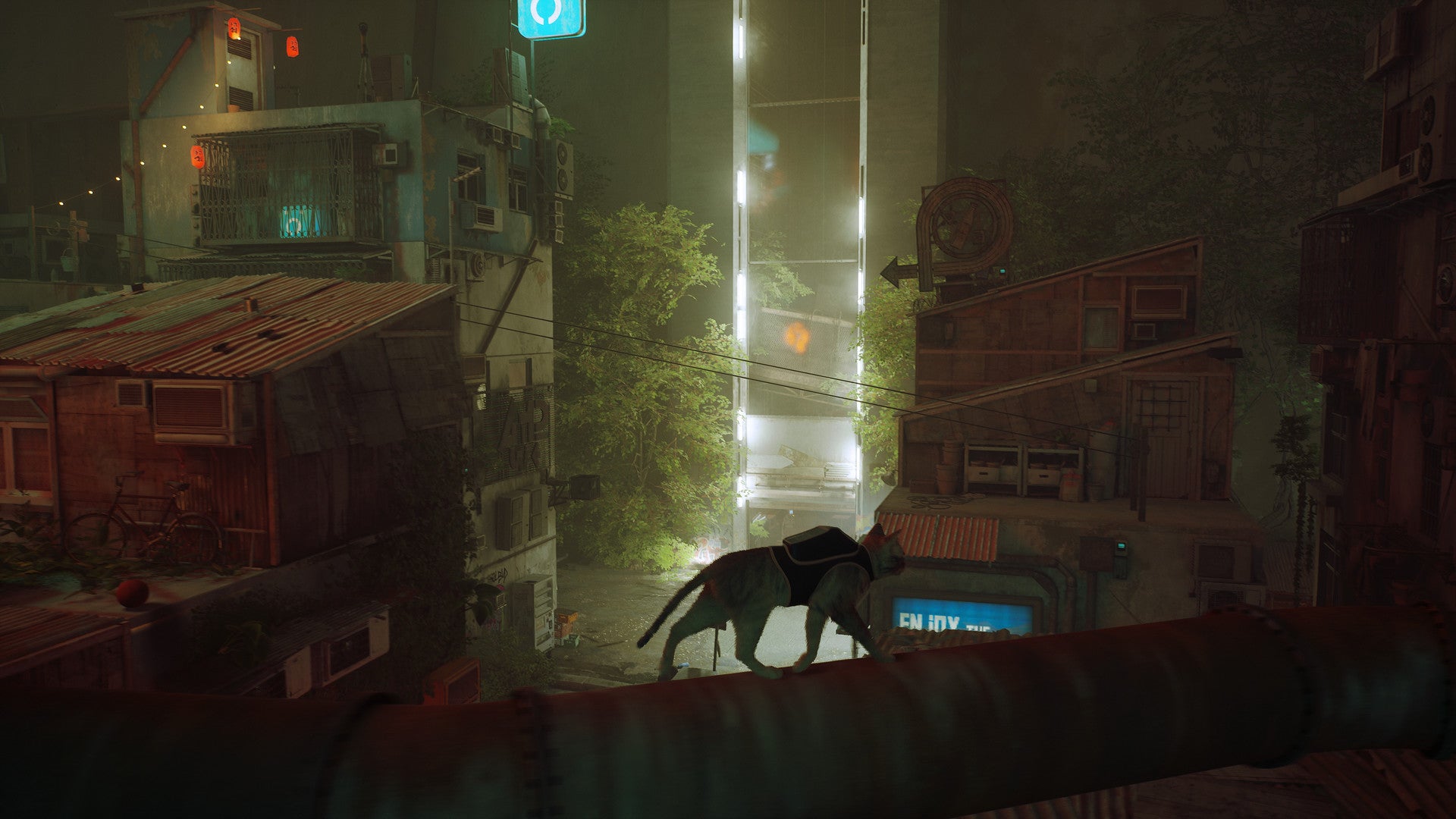 Повернення «Stray» в PlayStation Plus: пригоди у світі кішок та кіберпанку
