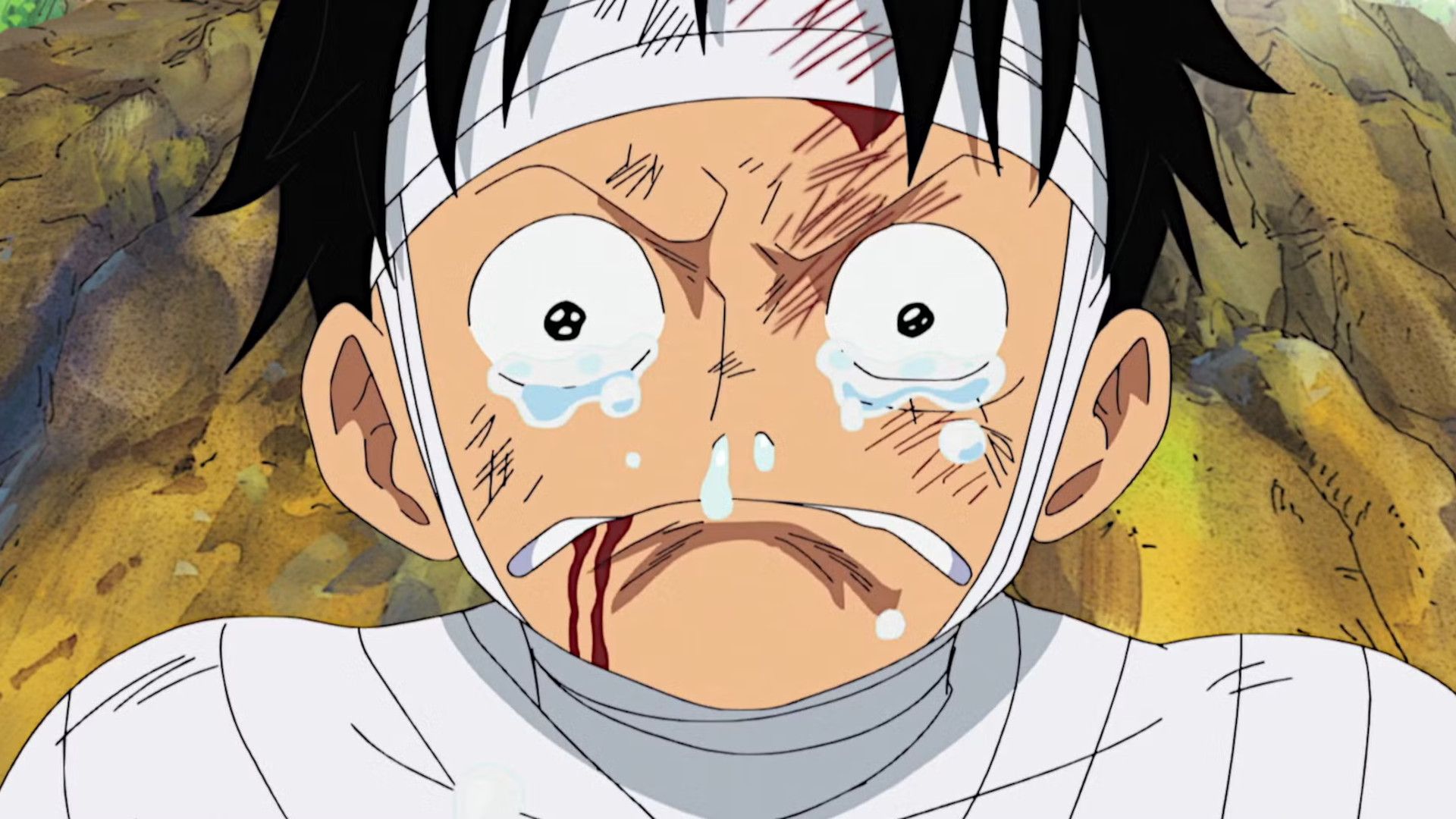 One Piece оголосив про затримку після новин від Netflix щодо сезону 3